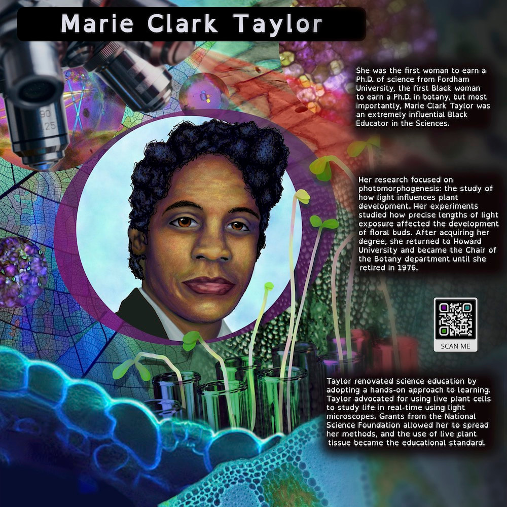 Artists portrait of Dr. Marie Clark Taylor