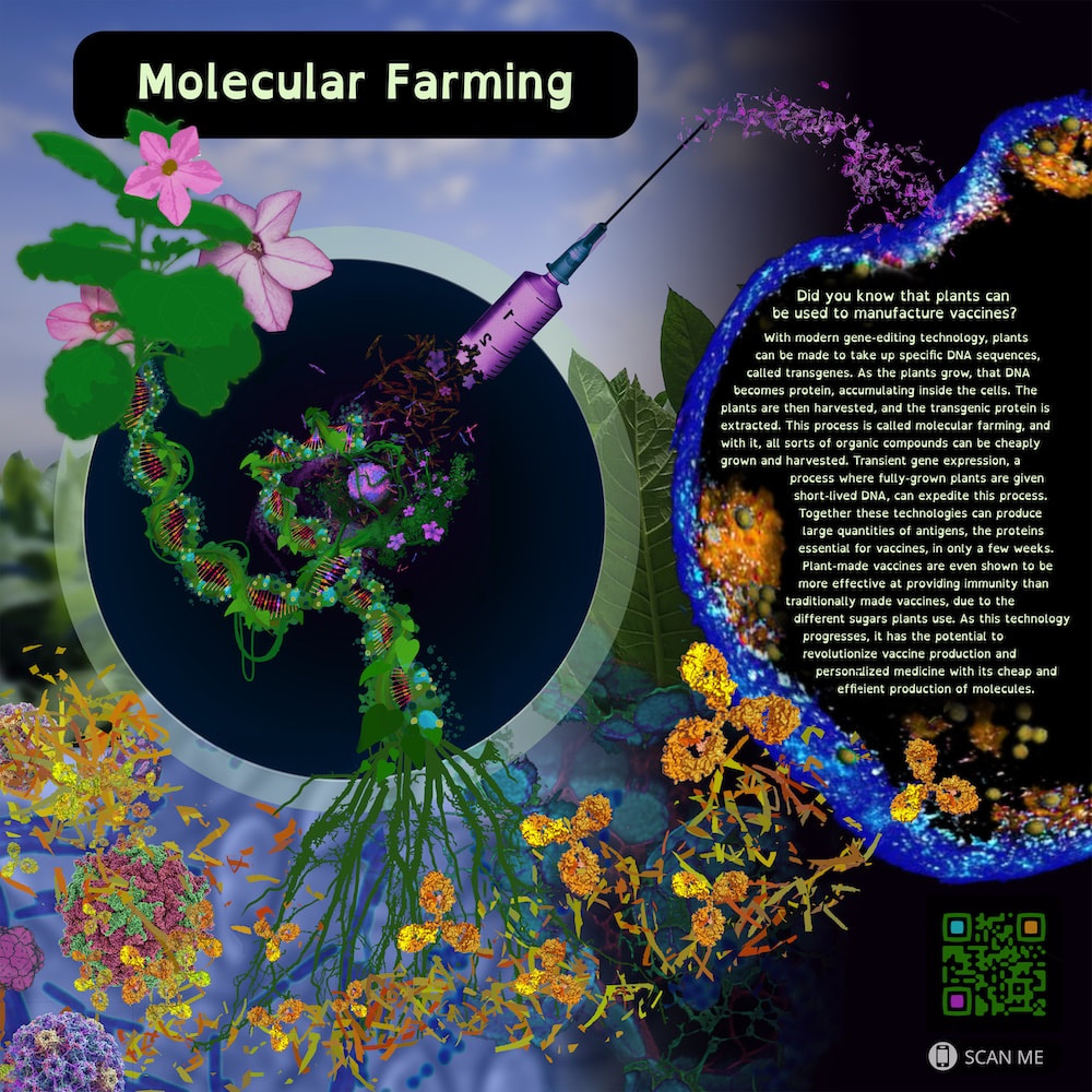 Art depicting using plants for molecular farming and vaccine production.